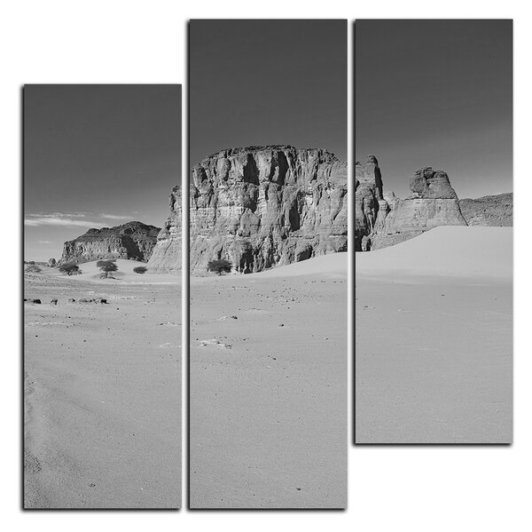 Obraz na plátne - Cesta v púšti - štvorec 3129QD (75x75 cm)