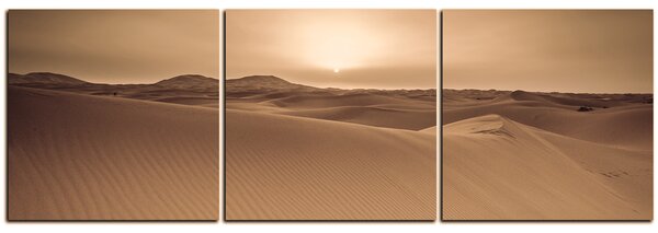 Obraz na plátne - Púšť Sahara - panoráma 5131FB (90x30 cm)