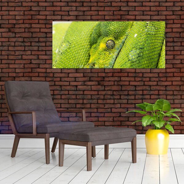 Obraz hada (120x50 cm)