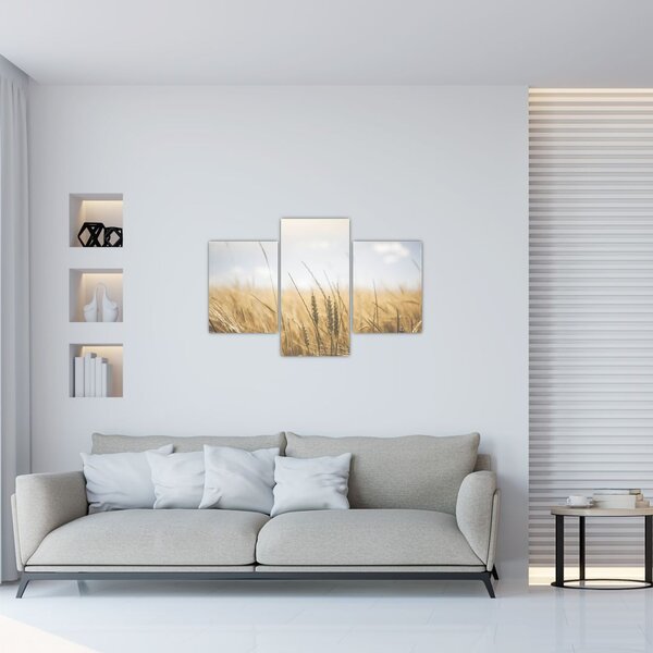 Obraz obilia (90x60 cm)