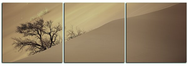 Obraz na plátne - Červené piesočné duny - panoráma 5133FB (90x30 cm)