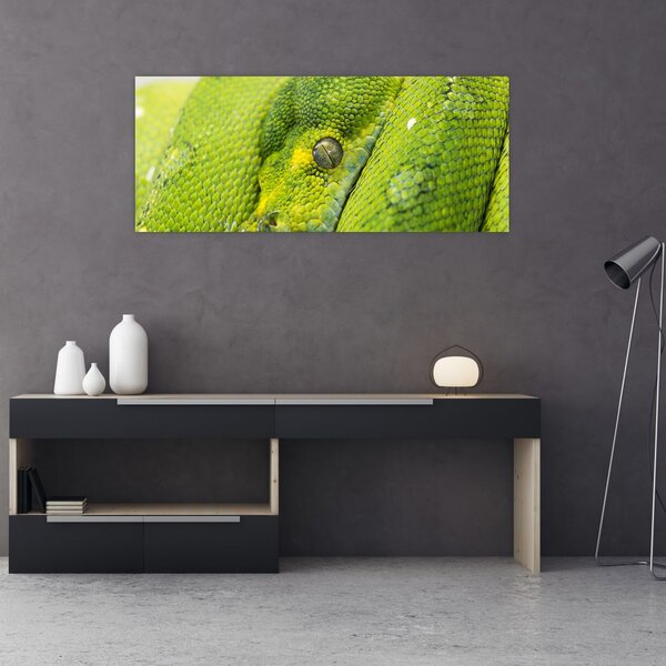 Obraz hada (120x50 cm)