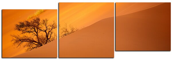 Obraz na plátne - Červené piesočné duny - panoráma 5133D (120x40 cm)