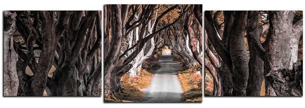 Obraz na plátne - Tmavé ploty v Írsku - panoráma 5134FD (90x30 cm)
