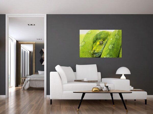 Obraz hada (90x60 cm)