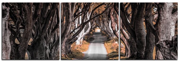 Obraz na plátne - Tmavé ploty v Írsku - panoráma 5134FB (90x30 cm)