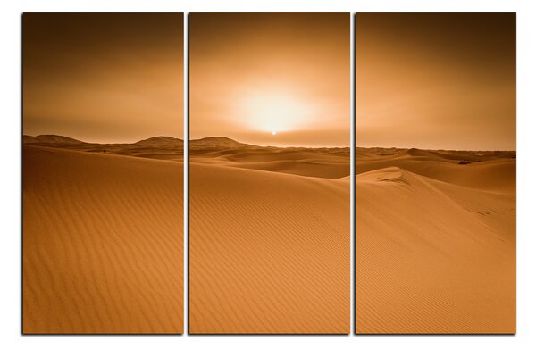 Obraz na plátne - Púšť Sahara 1131B (90x60 cm )
