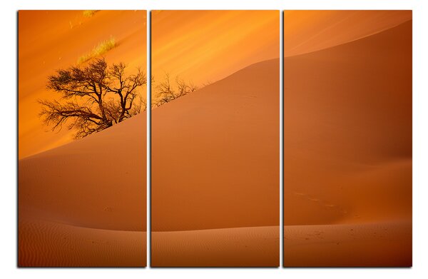 Obraz na plátne - Červené piesočné duny 1133B (90x60 cm )