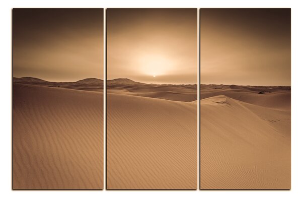 Obraz na plátne - Púšť Sahara 1131FB (90x60 cm )