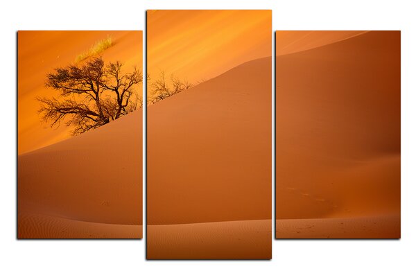 Obraz na plátne - Červené piesočné duny 1133C (90x60 cm)