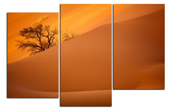 Obraz na plátne - Červené piesočné duny 1133D (90x60 cm)