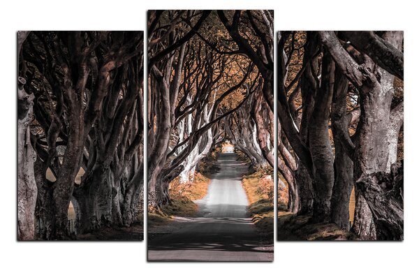 Obraz na plátne - Tmavé ploty v Irsku 1134FC (90x60 cm)