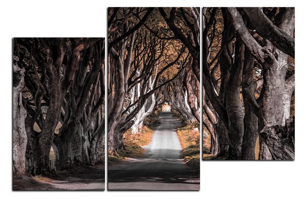 Obraz na plátne - Tmavé ploty v Irsku 1134FD (90x60 cm)