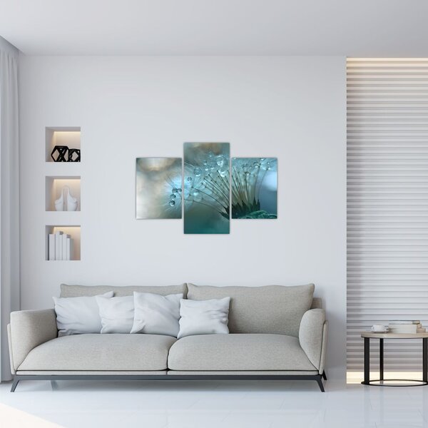 Obraz - Púpava - petrolej (90x60 cm)