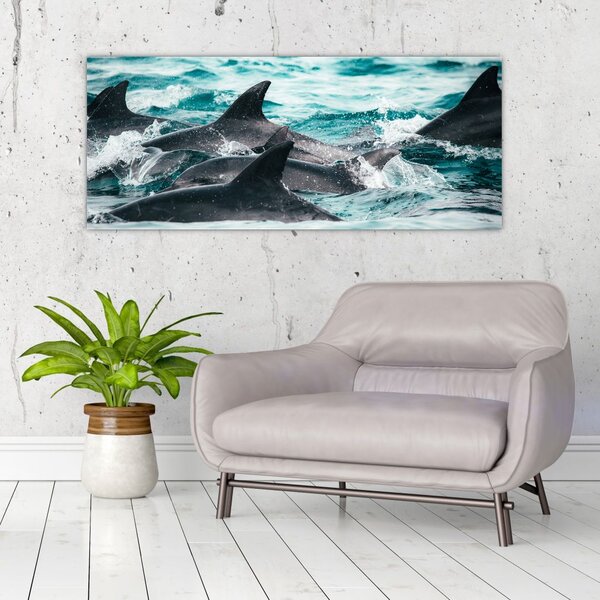 Obraz - Delfíny v oceáne (120x50 cm)