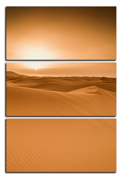 Obraz na plátne - Púšť Sahara - obdĺžnik 7131B (90x60 cm )