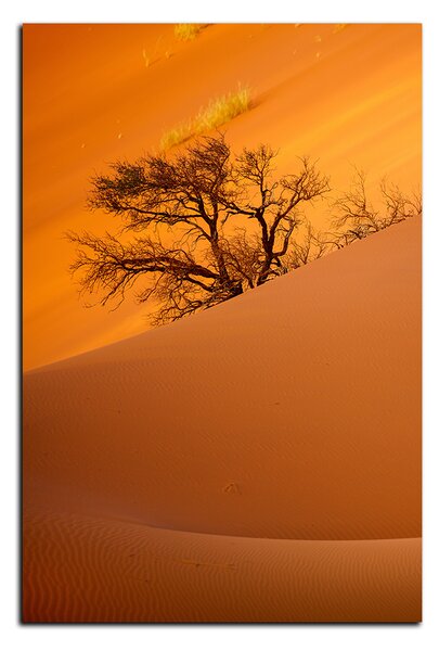 Obraz na plátne - Červené piesočné duny - obdĺžnik 7133A (60x40 cm)
