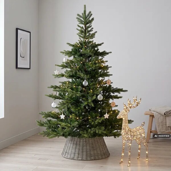 Zelený vianočný stromček Grandis 210 cm - 201 - 230 cm - Výška 210 cm - Zelené stromčeky
