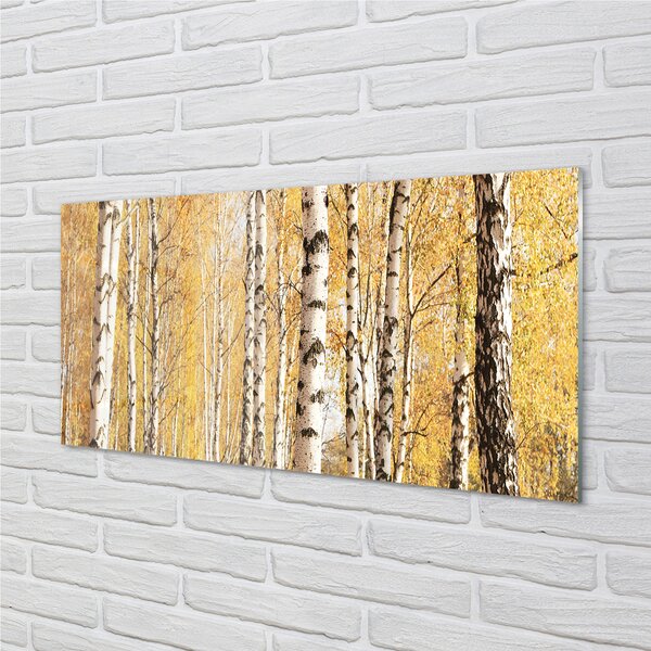 Obraz plexi Jesenné stromy 100x50 cm 2 Prívesky