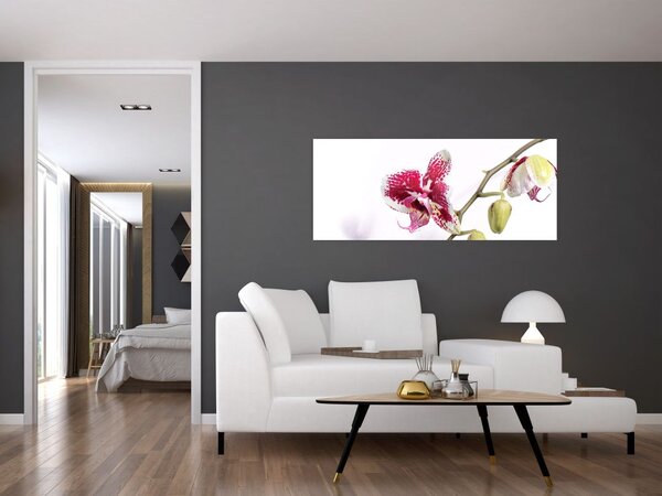 Obraz kvetu orchidey (120x50 cm)
