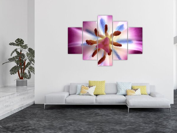 Obraz - Kvet tulipánu v detailu (150x105 cm)
