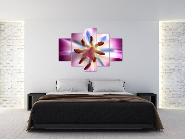 Obraz - Kvet tulipánu v detailu (150x105 cm)