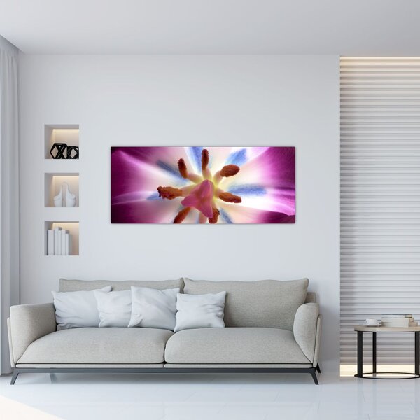 Obraz - Kvet tulipánu v detailu (120x50 cm)