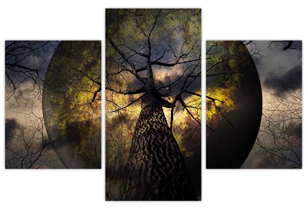 Obraz - Záhadné nebo (90x60 cm)