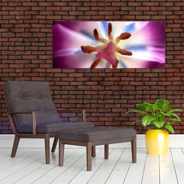 Obraz - Kvet tulipánu v detailu (120x50 cm)