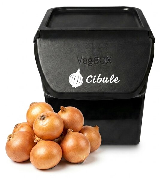 VILDE Úložný box na zemiaky a cibuľu s vetraním, VEGBOX čierny (14l - 10kg zemiakov)