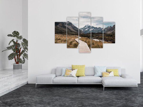 Obraz - Chodník v údolí hory Mt. Cook (150x105 cm)