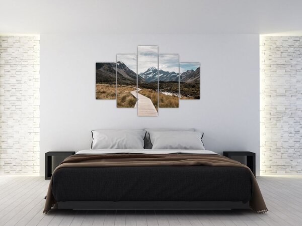 Obraz - Chodník v údolí hory Mt. Cook (150x105 cm)