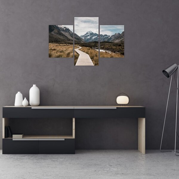 Obraz - Chodník v údolí hory Mt. Cook (90x60 cm)