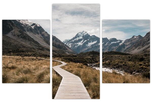 Obraz - Chodník v údolí hory Mt. Cook (90x60 cm)