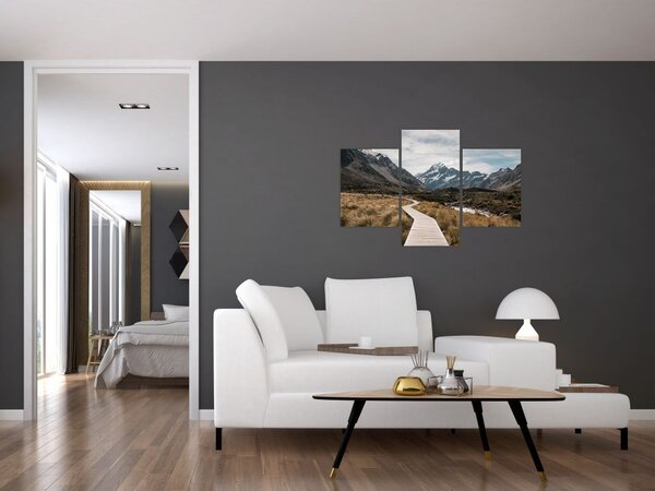 Obraz - Chodník v údolí hory Mt. Cook (90x60 cm)