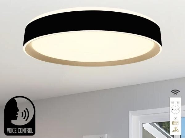 LED Stmievateľné stropné svietidlo s hlasovým ovládaním OPAL LED/48W/230V + DO