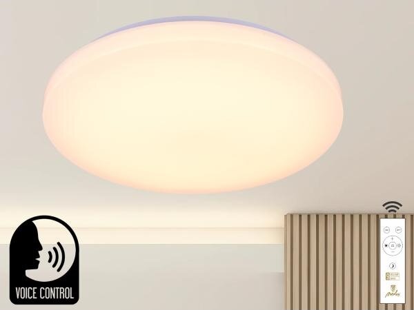 LED Stmievateľné stropné svietidlo s hlasovým ovládaním OPAL LED/48W/230V + DO
