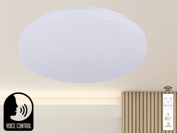 LED Stmievateľné stropné svietidlo s hlasovým ovládaním OPAL LED/48W/230V + DO