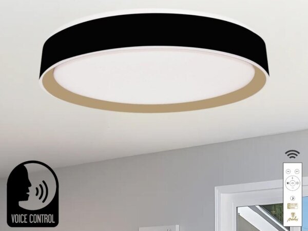 LED Stmievateľné stropné svietidlo s hlasovým ovládaním OPAL LED/48W/230V + DO