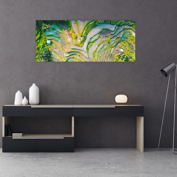 Obraz ryžových polí z vtáčej perspektívy (120x50 cm)
