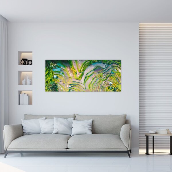 Obraz ryžových polí z vtáčej perspektívy (120x50 cm)