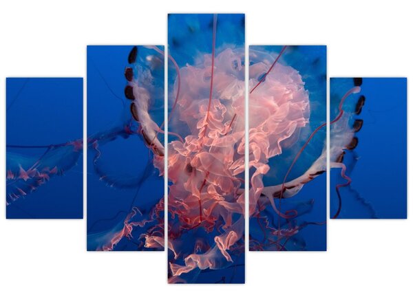 Obraz medúzy (150x105 cm)
