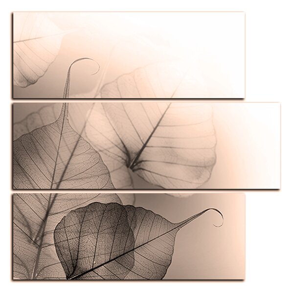 Obraz na plátne - Kvetinové listy - štvorec 3149FD (75x75 cm)