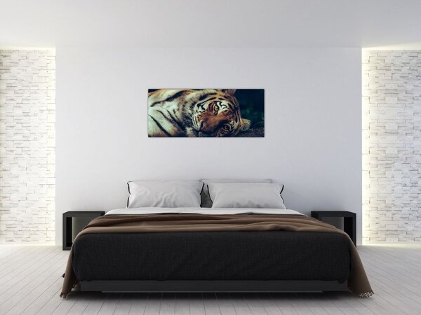 Obraz - Tiger Sibírsky (120x50 cm)