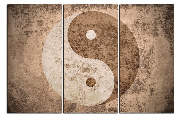 Obraz na plátne - Jin a jang symbol 1170B (90x60 cm )