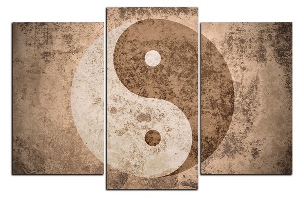 Obraz na plátne - Jin a jang symbol 1170C (90x60 cm)