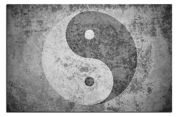 Obraz na plátne - Jin a jang symbol 1170QA (75x50 cm)