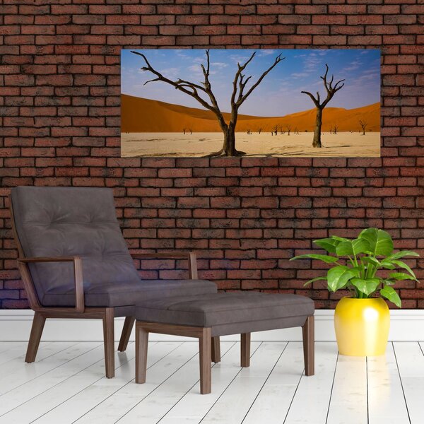 Obraz - Údolie smrti (120x50 cm)