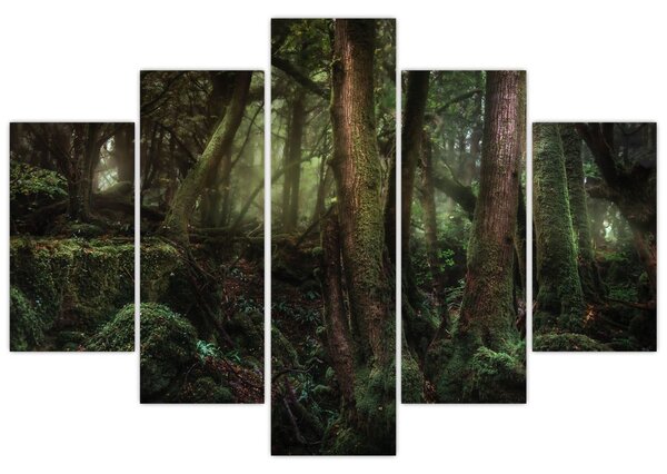 Obraz - Tajomný les (150x105 cm)