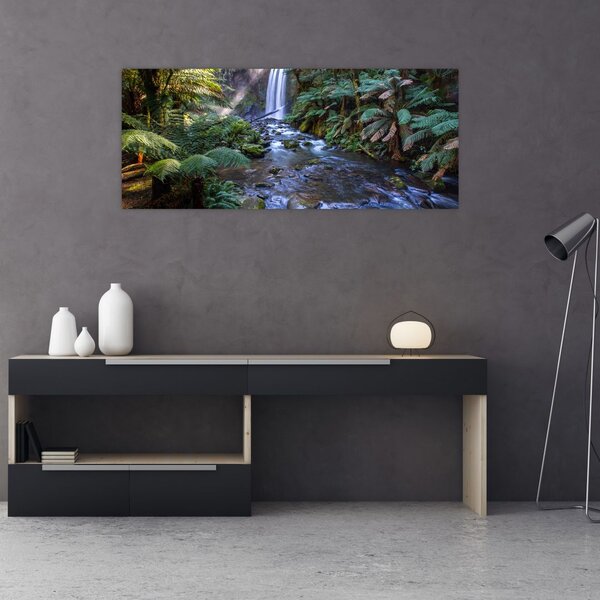 Obraz australského dažďového lesa (120x50 cm)